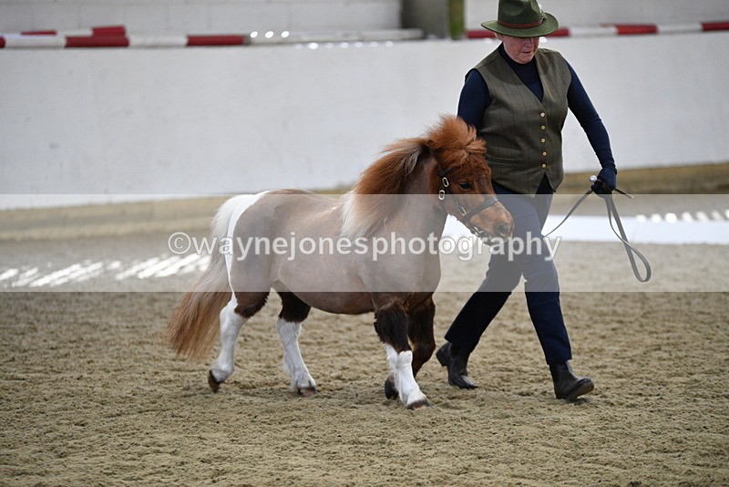 WJ5_4862 - Class 7 In hand coloured / odd coloured