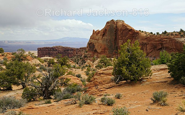 Image #1 - Canyonlands-2011
