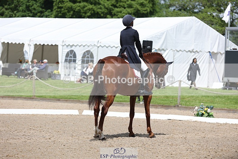 240523-113558-03560 - 219-HIT_CHAN_BOY_ALFA-Valentine_Emsens