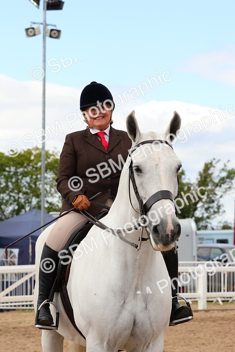 SBM_15517 - Class 214 - Ridden Show Cob