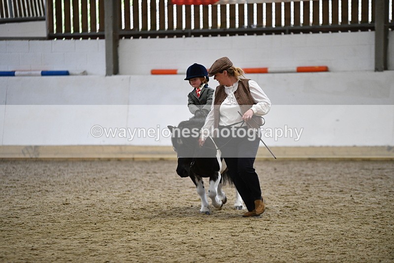 WJ5_6671 - Class 10 Childs Pony
