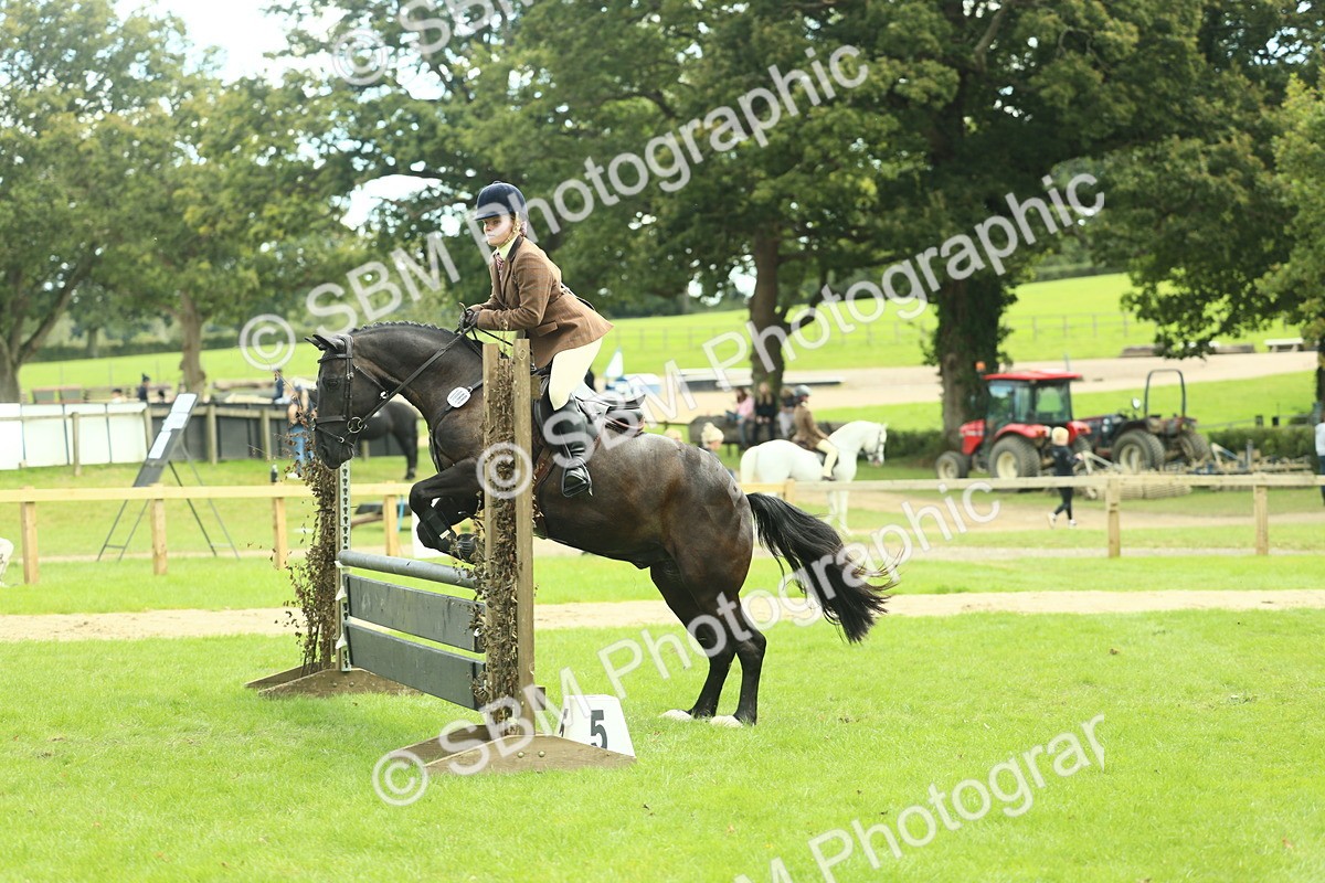 SBM_44773 - S31 - Working Hunter Pony