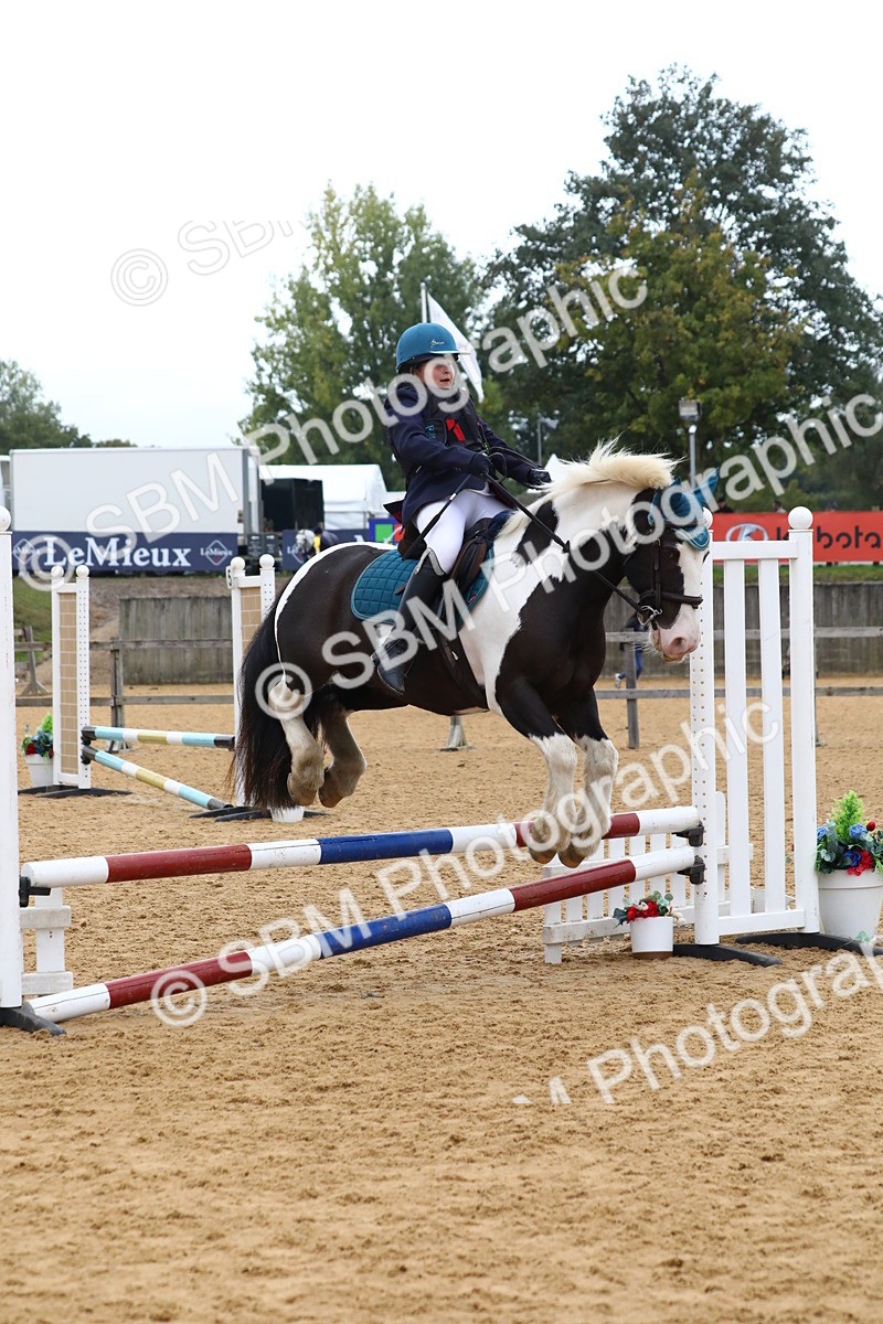 SBM_62284 - J64 - Junior Pony 60cm Championship