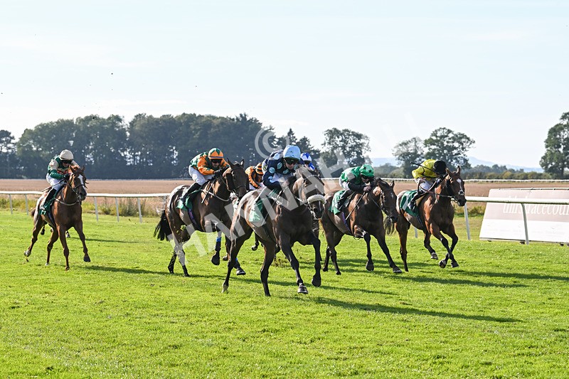 160924-Race 6-Count Palatine-3106 - Race 6