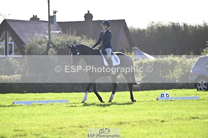 241025-111607-06813 - 365-Charlotte.Cutler-HOLY.STREET