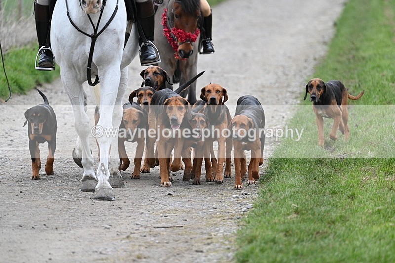 WJ7_1199 - Walk Home