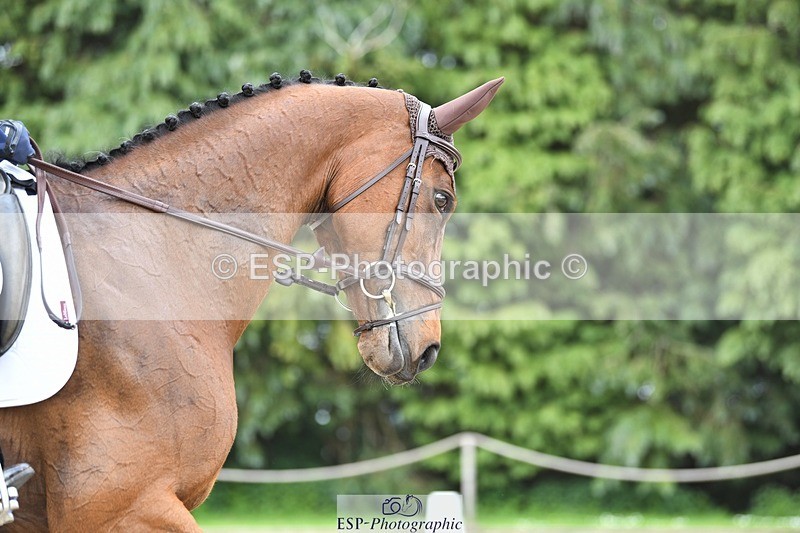 230525-143503-03143 - 322-CHANSON_DU_VILLAGE-Phoebe_Locke-WEDTrotUp+DR