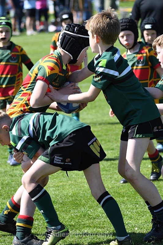  - Selby Rugby Festival 2025