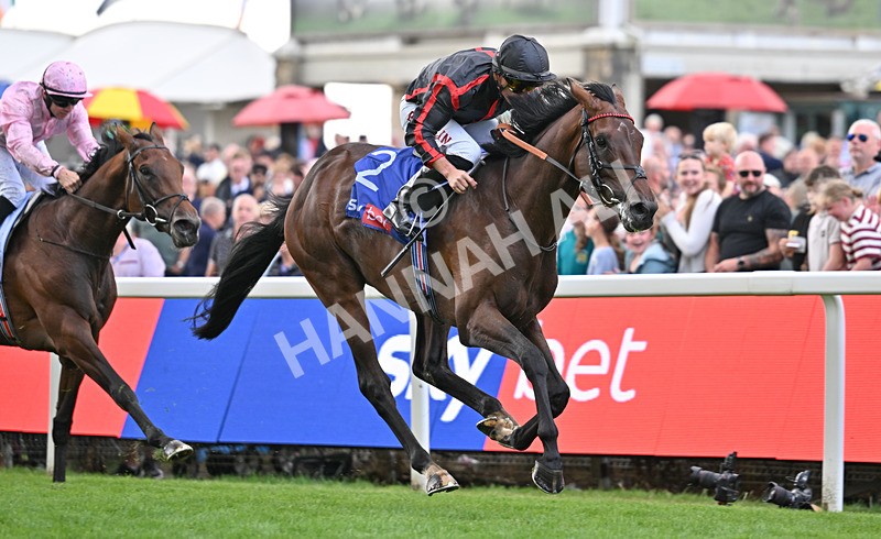 190826-083 Maltese Cross - Race 3 15.00pm Sky Bet Great Voltigeur Stakes