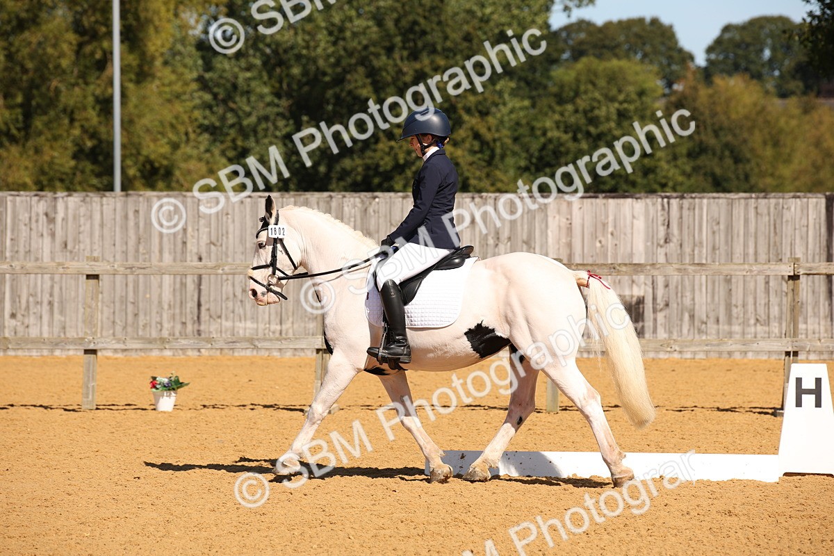 SBM_21649 - D5 - Small Tour Championship - Intro C