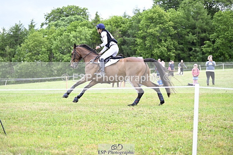 250524A-160757-14495 - C-258-Bill.Levett-ITALIAN.HARLEQUIN.NJ