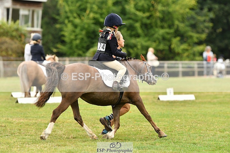 250820A-115926-05386 - 11am to 12