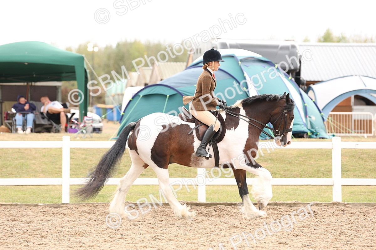 SBM_19662 - Class 216 - Ridden Traditional - Native Cob