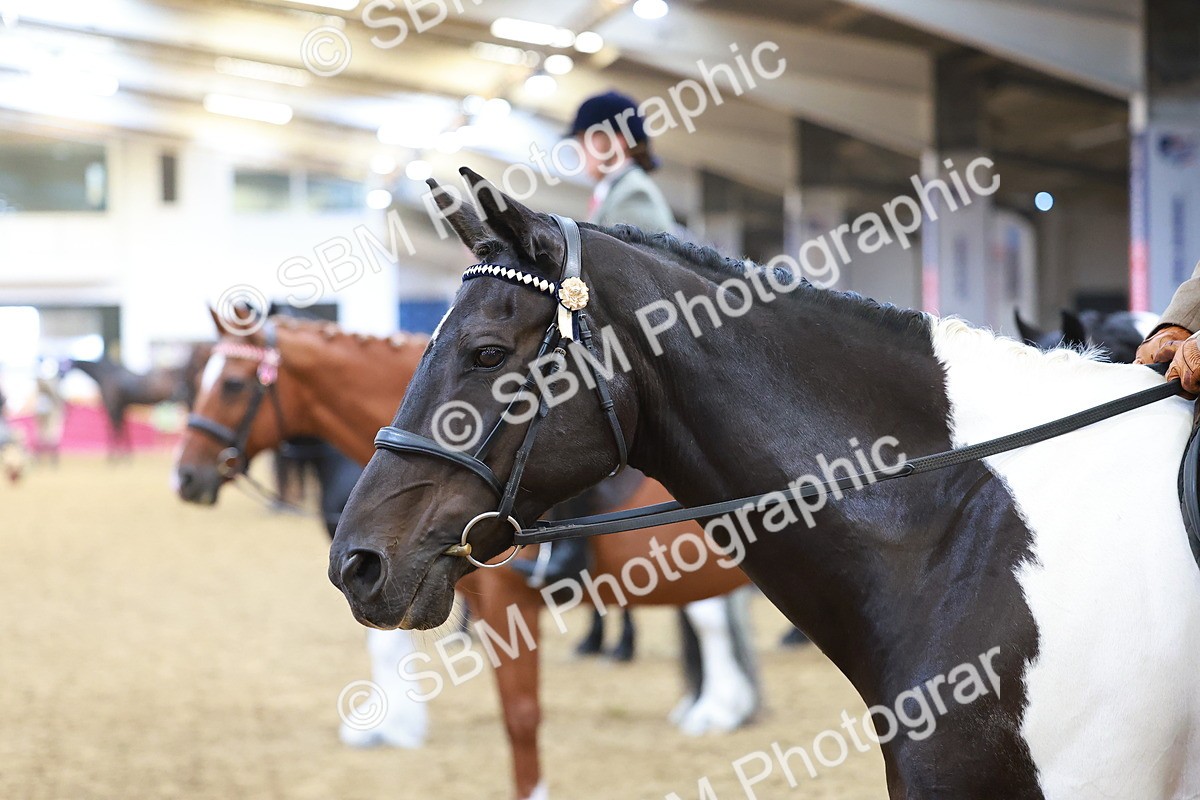 SBM_09719 - Class 102 - HOYS Veteran Qualifier - Ridden Veteran