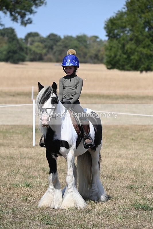 WJ6_9230 - Championship Classes 33-38