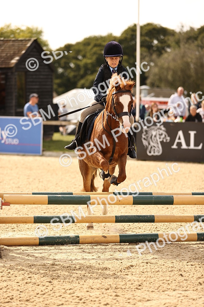 SBM_66835 - J13 - Junior Pony 60cm Championship