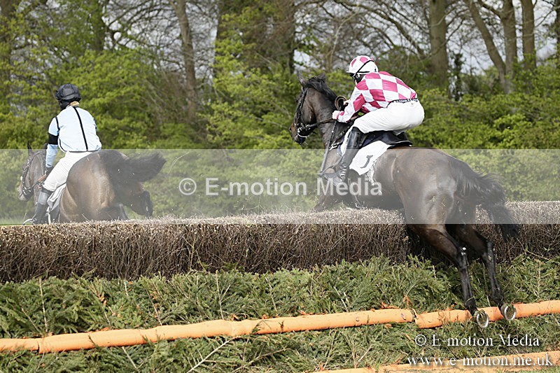 PtP 170417 309 - Old Berks Point-to-Point Lockinge 17/04/17