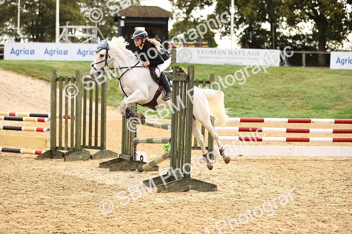 SBM_58179 - J41 - Grand Tour Horse & Pony 95cm