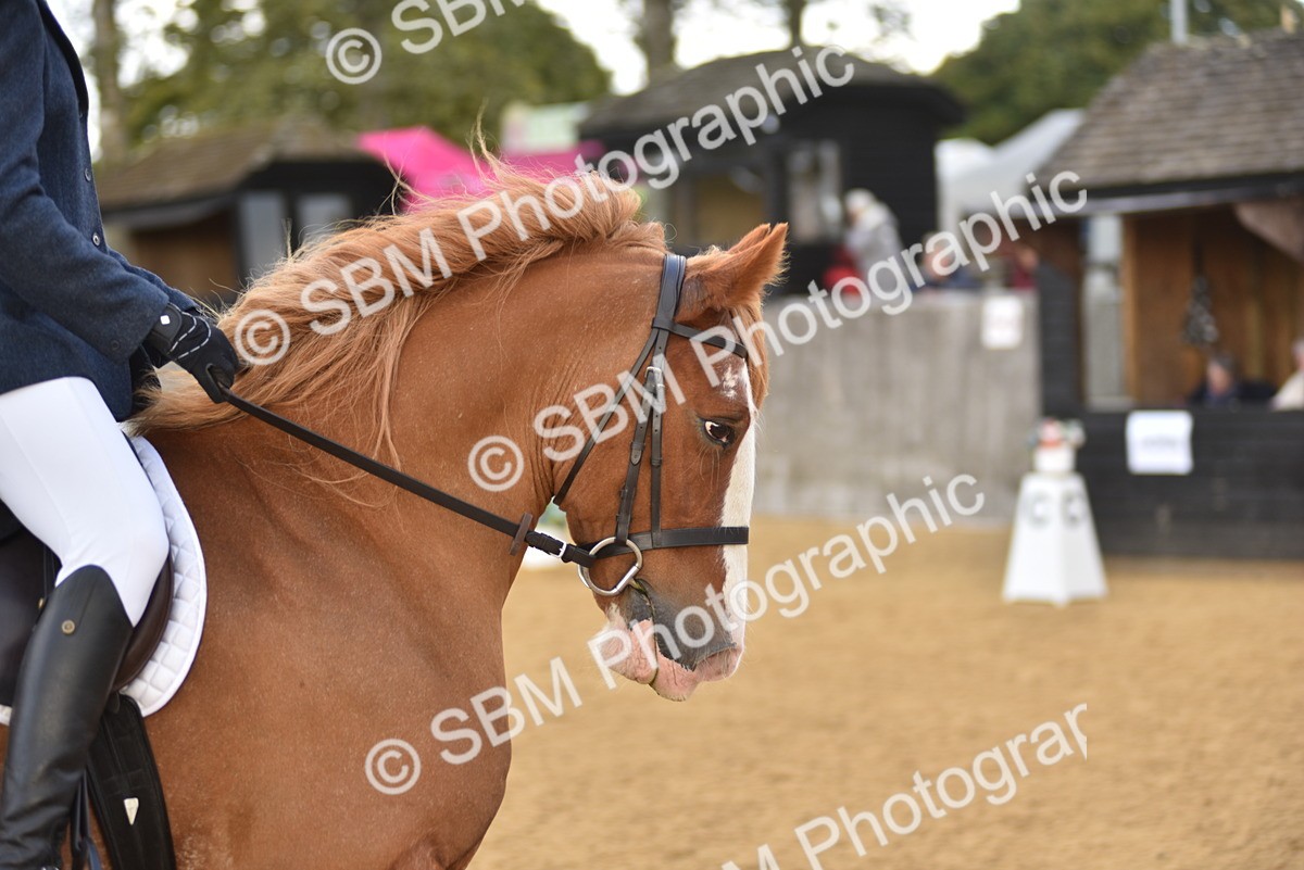 SBM_29624 - D16 -Small Tour Championship Novice 2