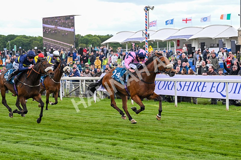 150526-Race 1-Zarathos-6912 - Race 1 1.45pm Yorkshire Equine Practice Handicap
