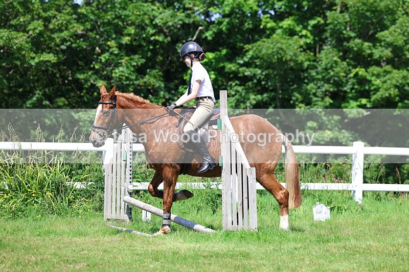 3E7A7106 - Class 30: Novice Working Hunter