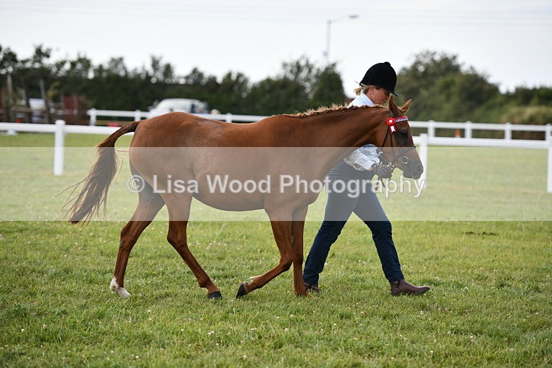 DSC_8633 - Classes 70 and 71: NPS Show Pony Brrod Mare and Foal