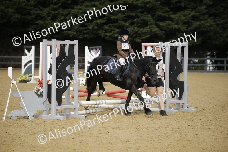 20250622-1342 - 40cm