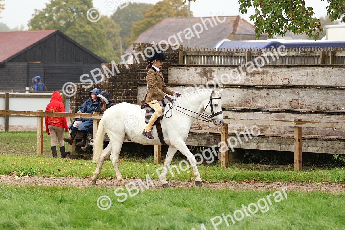 SBM_72972 - S63 Show Pony & Show Hunter Pony Ridden