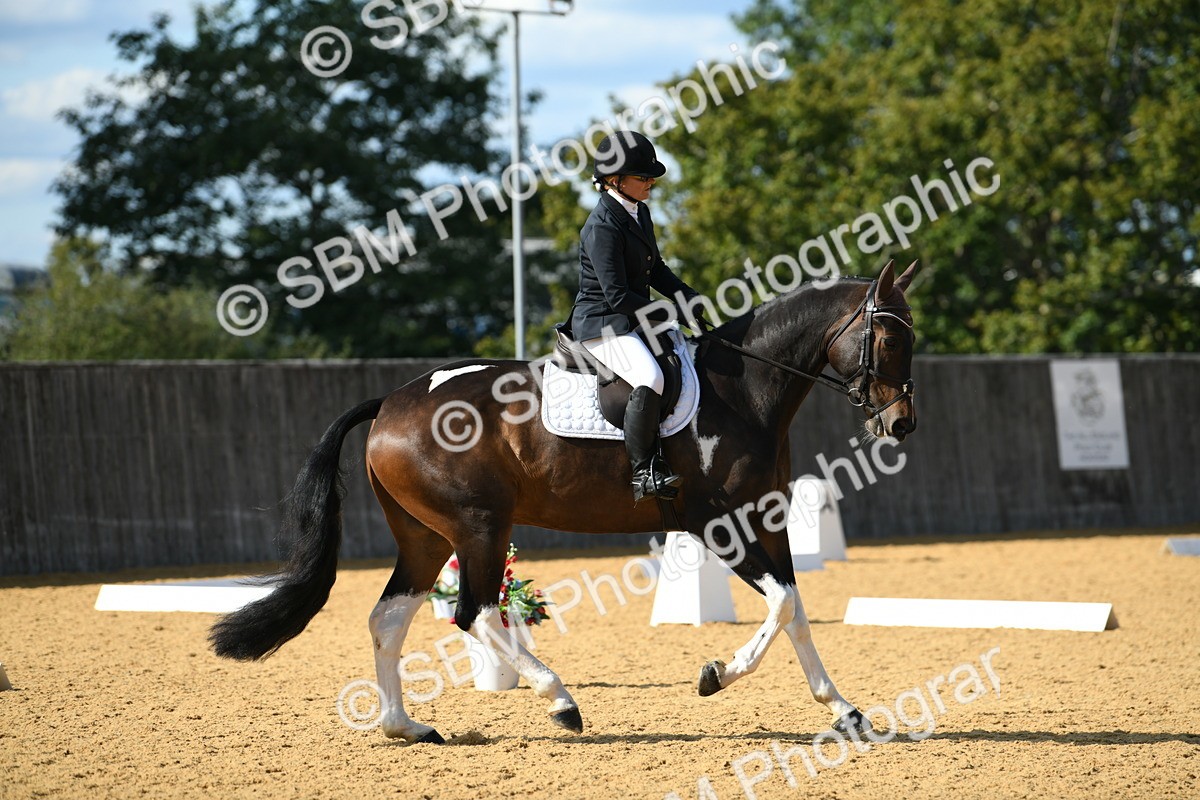 SBM_26998 - D16 - Small Tour Championship - Novice 28