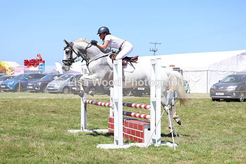 3E7A5625 - Class 9: Senior British Novice/90cm open