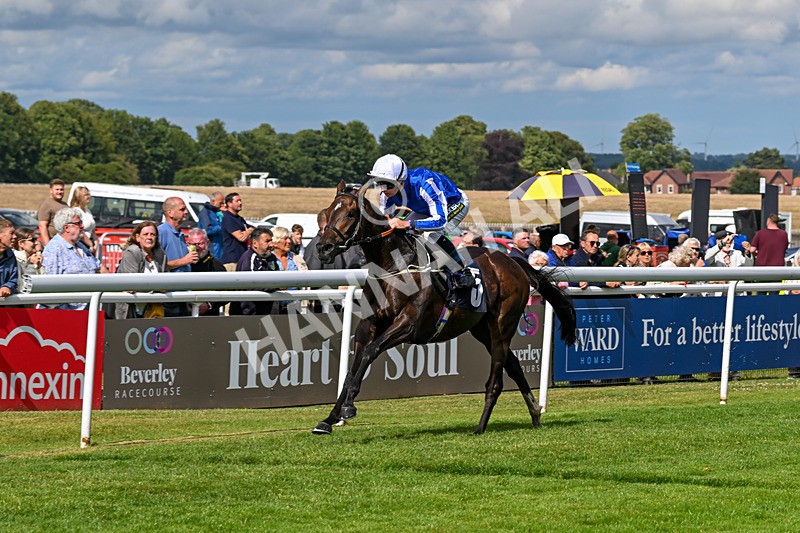 240625-Race 5-Special Ghaiyyath-8548 - Race 5