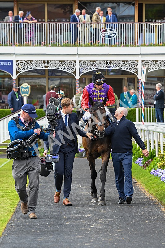 150526-Race 3-Warrant Holder-7584 - Race 3 2.55pm Support Macmillan Charity Raceday On 13 June Handicap