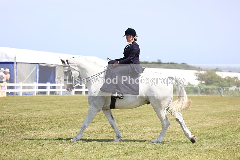 3E7A9760 - Class 13: Side Saddle