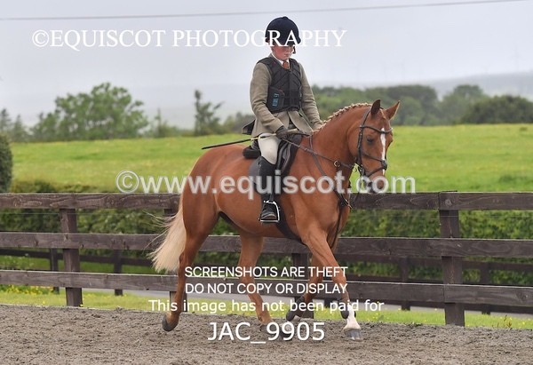 JAC_9905 - CLASS 3 Intermediate Working Hunter (0.70m - 0.85m)