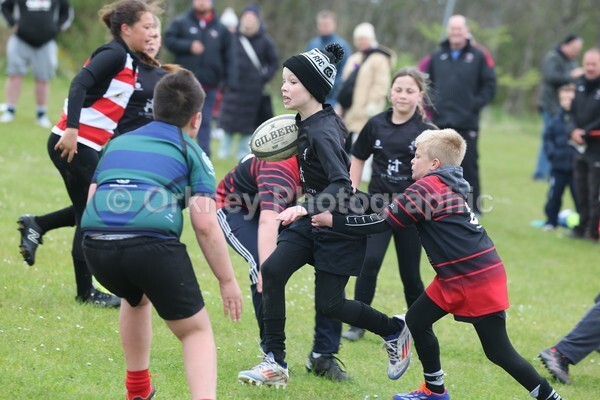 DAD22500 - Rookies/Mini Rugby on 7s Day