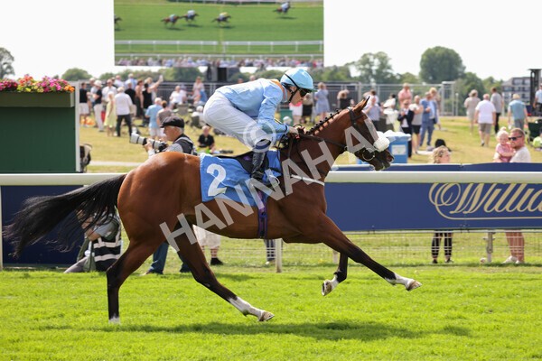 yr08072022r3-20 - Race 3 3.15pm William Hill Play Responsibly Irish EBF Novice Fillies Stakes