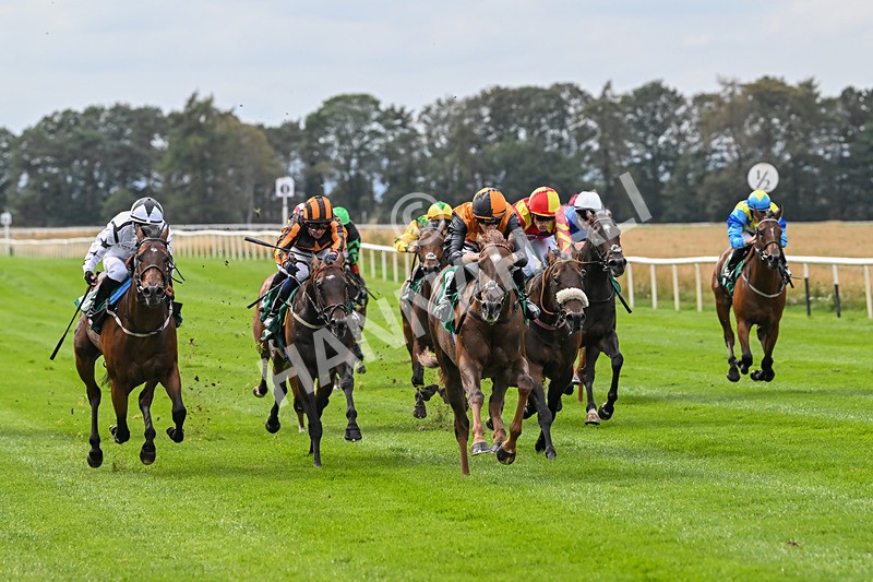 060925-Race 2-Dazzling Haze-4644 - Race 2