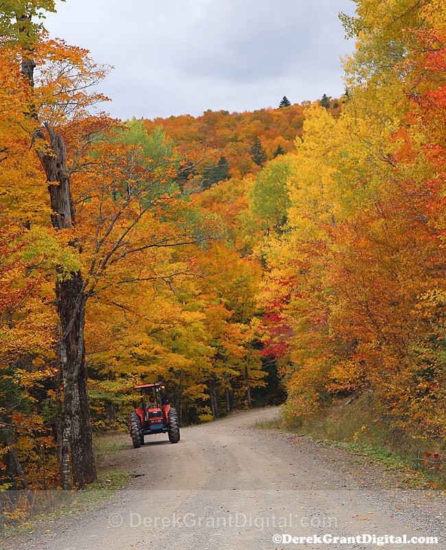 Awesome Autumns - Fall Foliage New Brunswick Canada - Autumn Foliage