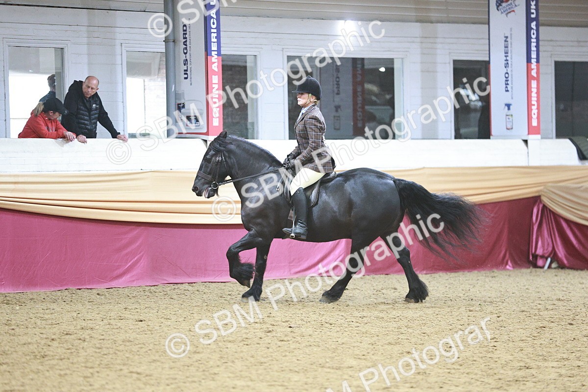 SBM_08886 - Class 12R - Regional Ridden Pre-Vet