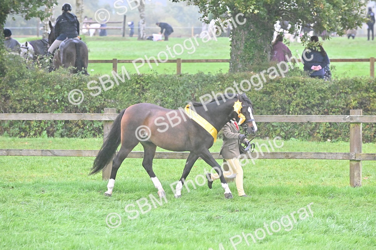 SBM_72156 - Equitation Supreme Championship