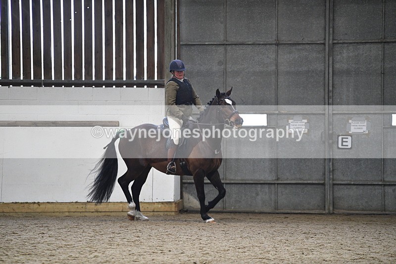 WJ5_7964 - Class 13 Ridden Part Breed