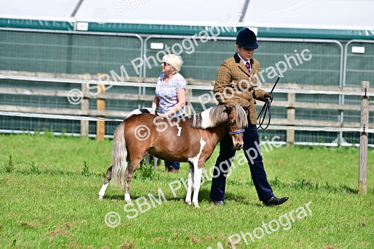 SBM_03534