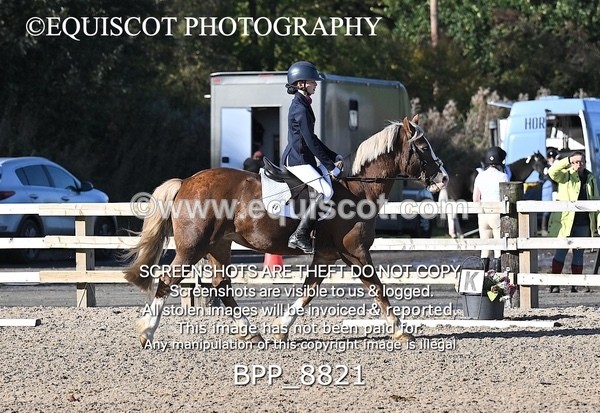 BPP_8821 - SHORT ARENA INTRO 2