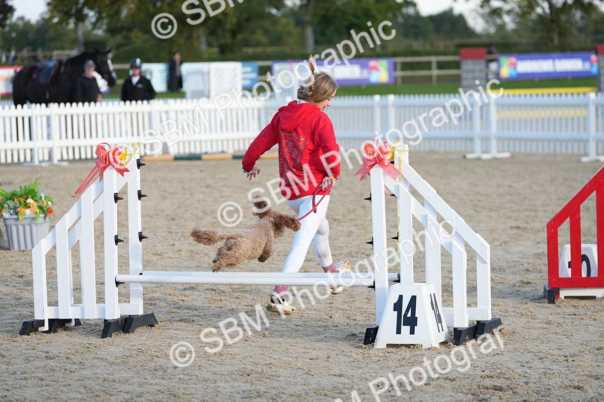 SBM_29496 - J44 - Horse & Hound Open 70cm