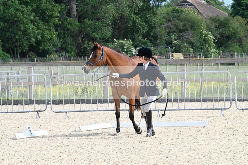 WJ7_8234 - Time 16:10 to 16:25