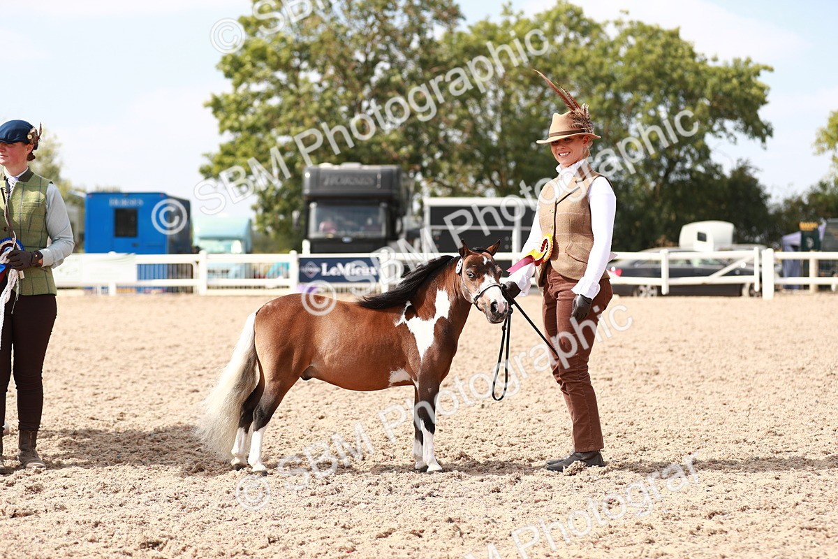 SBM_13951 - Class 209 IH Veteran Pony
