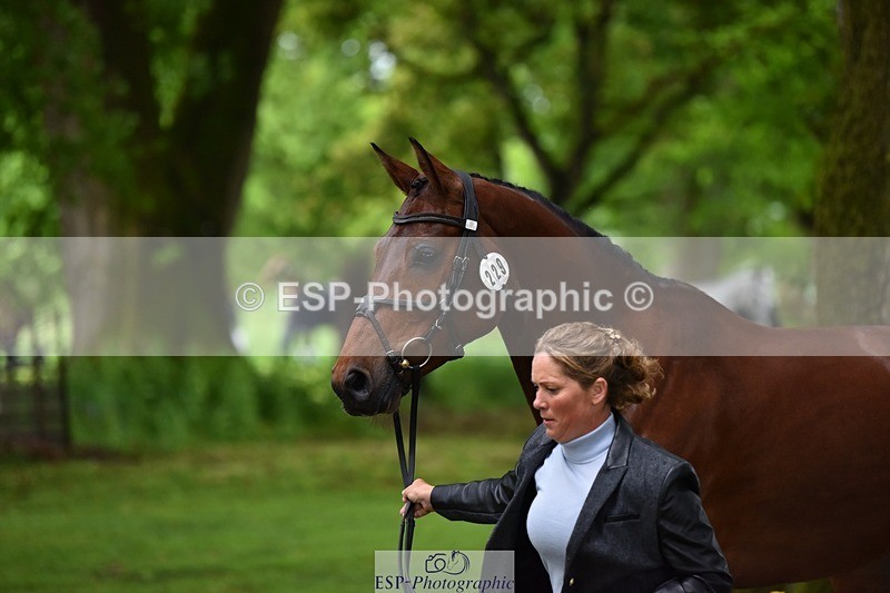 240522-165710-01277 - 229-ROCK_THE_CASPAR-Ali_Wilkes