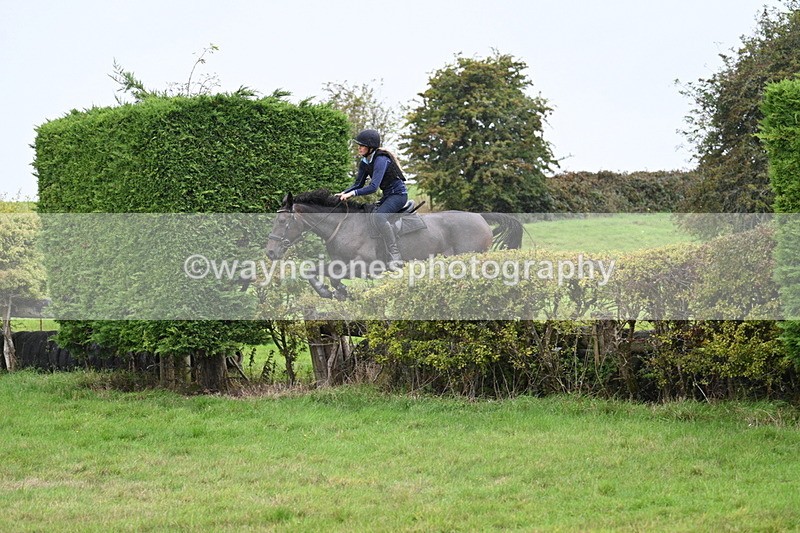 WJ7_9136 - Time 13:31 to 14:00