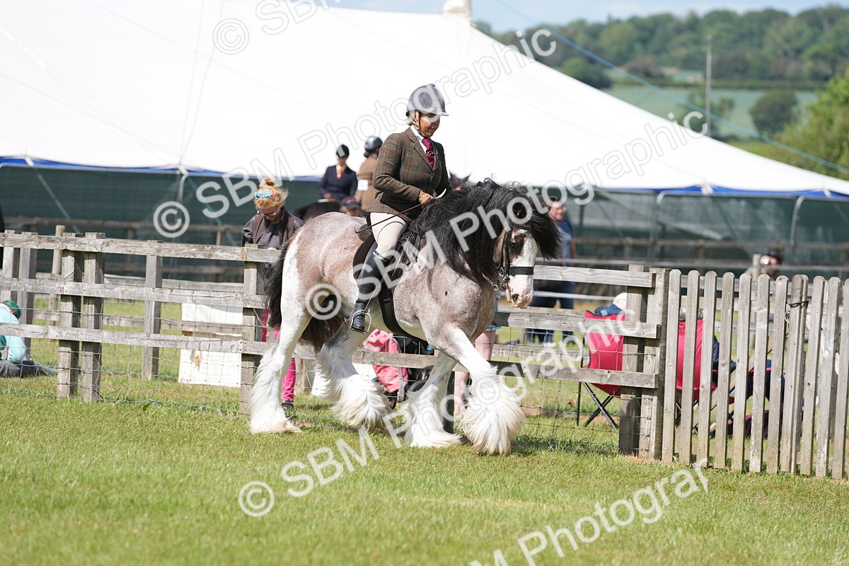 SBM_17103 - Class 107-108 - LIHS BSPS Performance Coloured Horse Pony