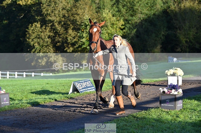 231022-090704-21570 - 641-SILVER.ROCK-Lucy.Boultbee-brooks-TrotUp+SJ